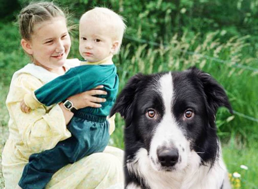 Halloween Firecrackers Frighten Dogs And Home-schooled&nbsp;Children