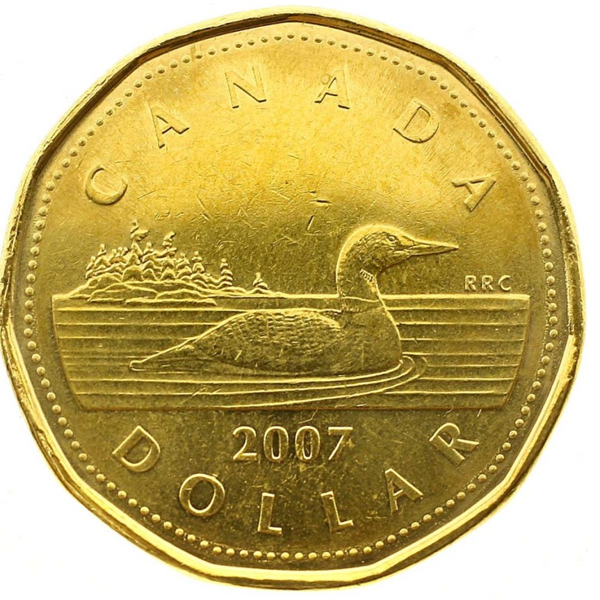 News of the Decreased Value of the Loonie is Devastating News for Man with Basement Full of&nbsp;Loonies