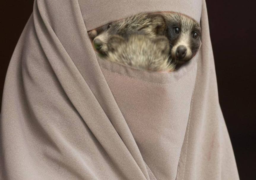 SECURITY ALERT: 1% Of Niqabs Are Hiding A Stack Of Clever&nbsp;Raccoons
