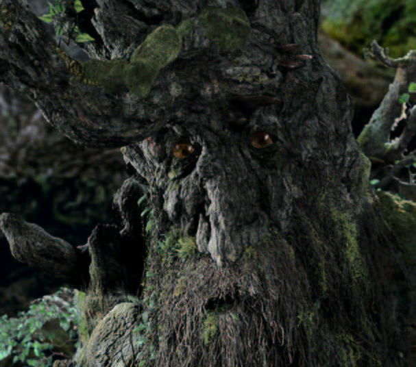 Paris Climate Deal Must Be Reached or the Ents Will&nbsp;March