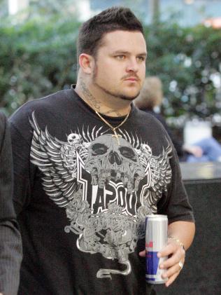 Montreal Meth Lab Operators Distraught Over New Pit Bull&nbsp;Ban